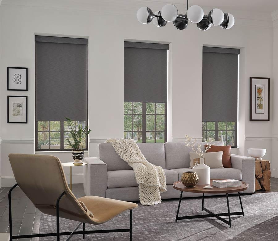 living room window treatments dual roller shades 